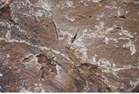 Photo Texture of Rock 0020